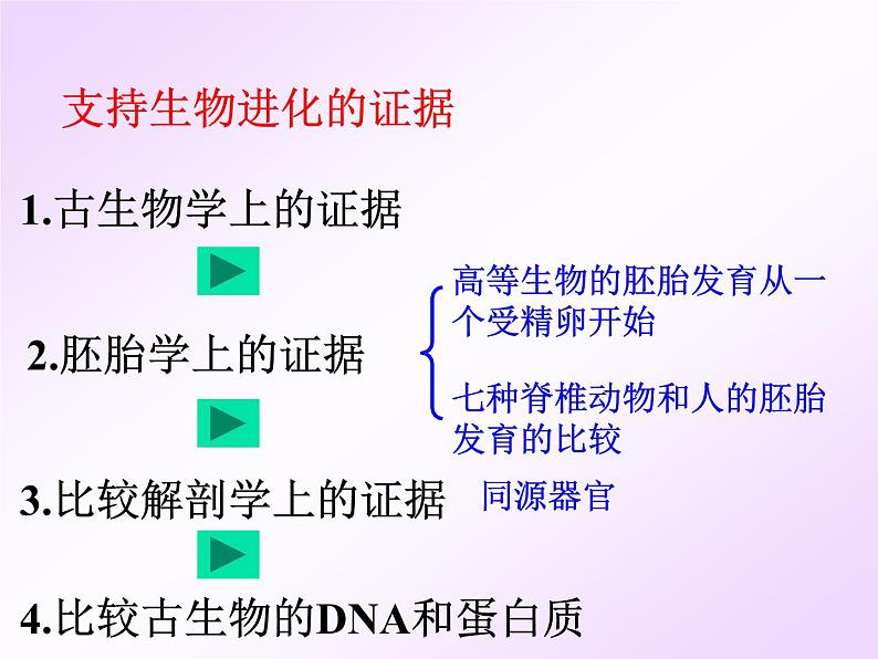 浙教版科学九下1.4《生物的进化》（第1课时）ppt课件07