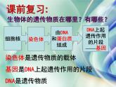 浙教版科学九下1.5《遗传与进化》（第2课时）ppt课件