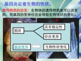 浙教版科学九下1.5《遗传与进化》（第2课时）ppt课件