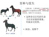 浙教版科学九下1.5《遗传与进化》ppt课件（2）