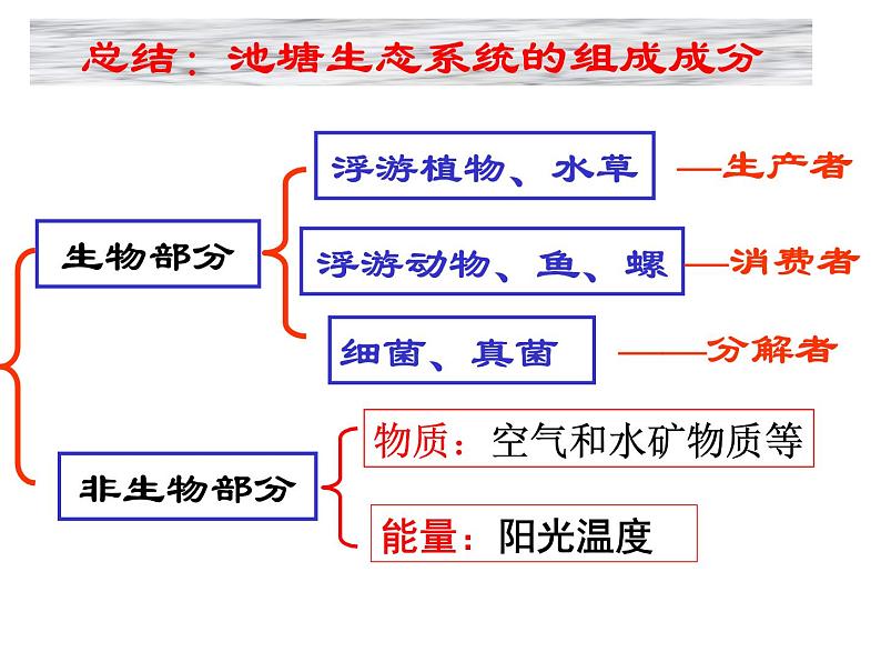 浙教版科学九下2.4《生态系统的结构和功能》（第2课时）课件第8页