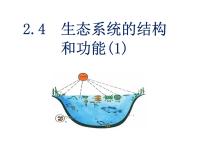 初中浙教版第 4 节 生态系统的结构和功能授课课件ppt