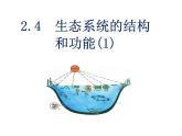 浙教版科学九下2.4《生态系统的结构和功能》ppt课件（1）