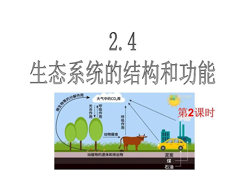 浙教版科学九下2.4《生态系统的结构和功能》ppt课件（2）第1页