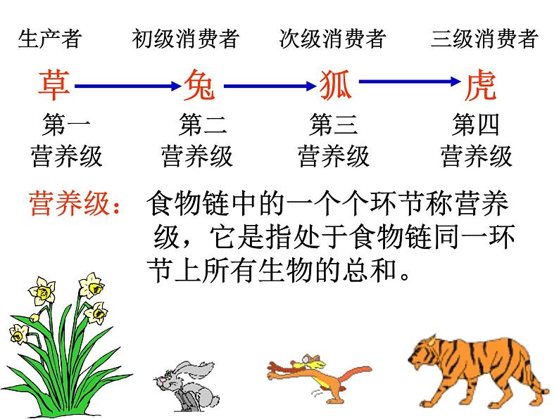 浙教版科学九下2.4《生态系统的结构和功能》ppt课件（2）第2页