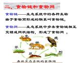 浙教版科学九下2.4《生态系统的结构和功能》ppt课件（2）