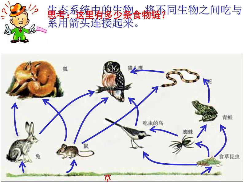 浙教版科学九下2.4《生态系统的结构和功能》ppt课件（2）第4页