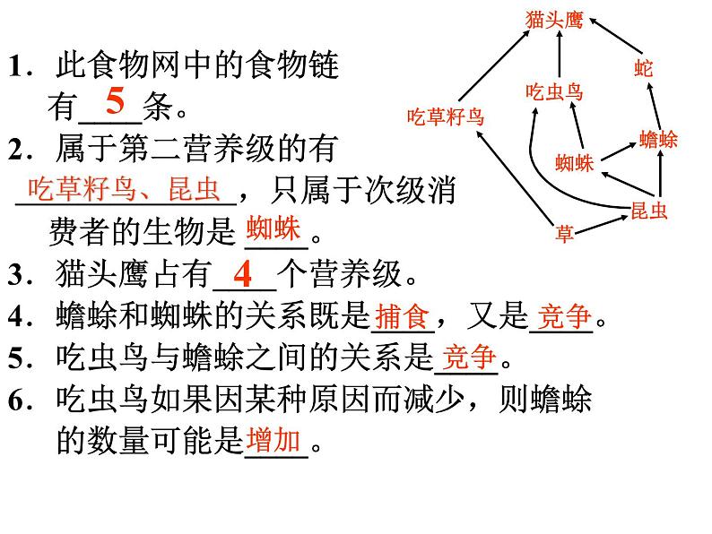 浙教版科学九下2.4《生态系统的结构和功能》ppt课件（2）第7页