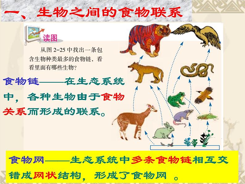 浙教版科学九下2.4《生态系统的结构和功能》ppt课件（3）第2页