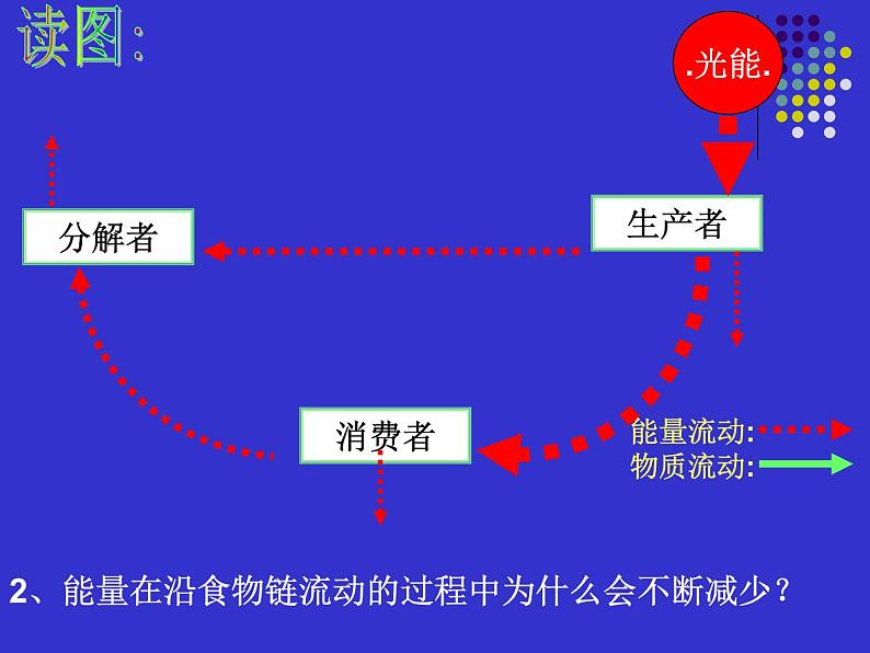 浙教版科学九下2.4《生态系统的结构和功能》ppt课件（3）第8页