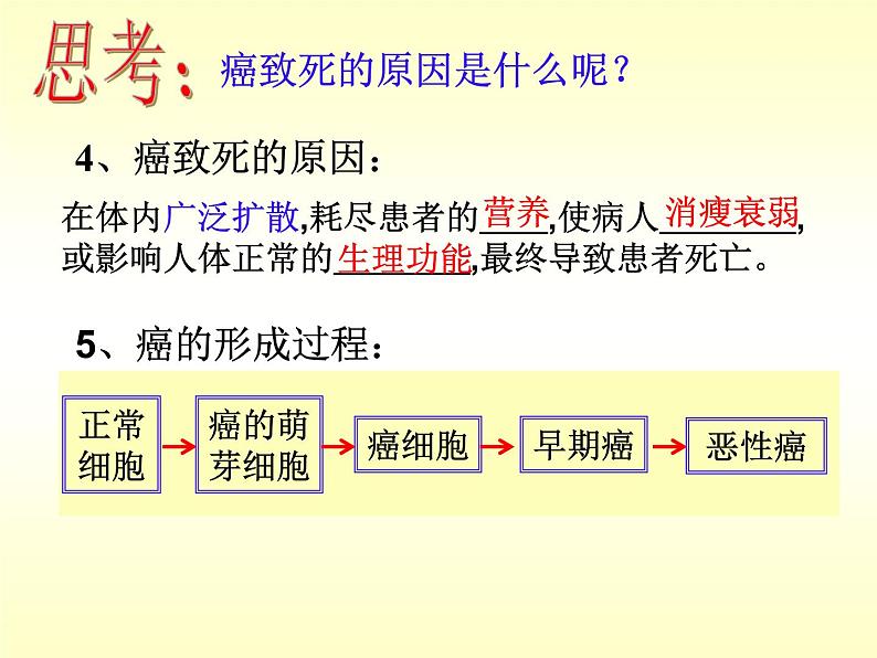浙教版科学九下3.4《非传染性疾病》ppt课件（2）05