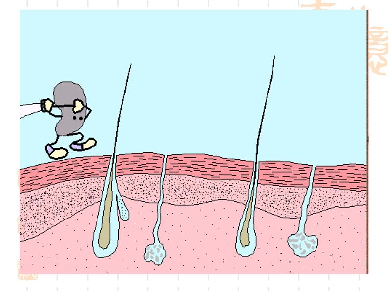 浙教版科学九下3.3《身体的防卫》ppt课件（3）07