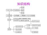 浙教版科学九下3.5《人的运动系统和保健》ppt课件（2）