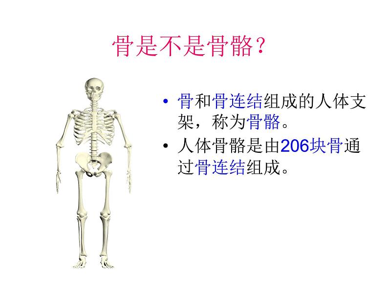 浙教版科学九下3.5《人的运动系统和保健》ppt课件（1）第3页