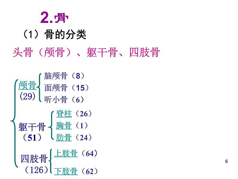 浙教版科学九下3.5《人的运动系统和保健》ppt课件（1）第6页