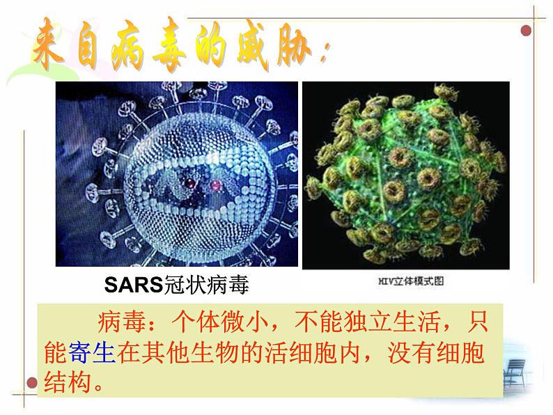 浙教版科学九下3.2《来自微生物的威胁》ppt课件（1）第3页