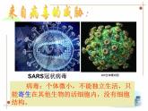 浙教版科学九下3.2《来自微生物的威胁》ppt课件（1）