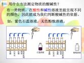 2020秋浙教版科学九上1.2《物质的酸碱性》ppt课件（2）