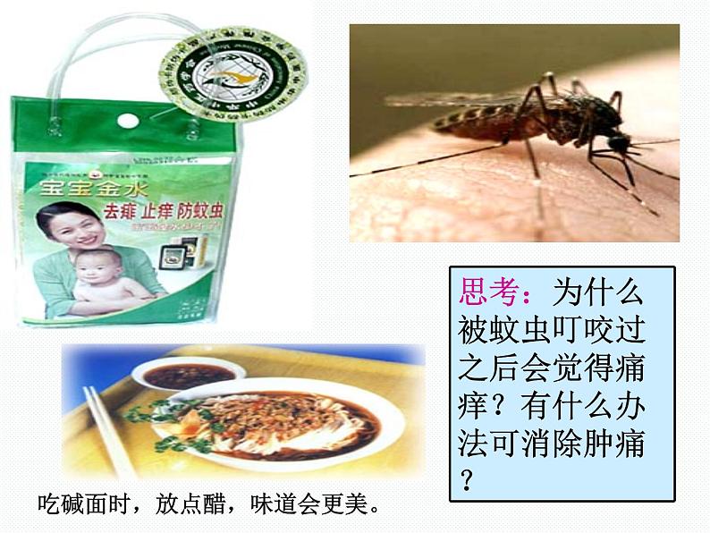 2020秋浙教版科学九上1.5《酸和碱之间发生的反应》（第1课时）ppt课件04