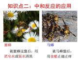 2020秋浙教版科学九上1.5《酸和碱之间发生的反应》（第2课时）ppt课件