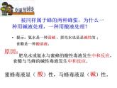 2020秋浙教版科学九上1.5《酸和碱之间发生的反应》（第2课时）ppt课件