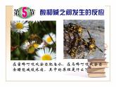 2020秋浙教版科学九上1.5《酸和碱之间发生的反应》ppt课件（1）