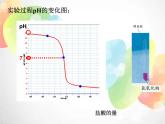 2020秋浙教版科学九上1.5《酸和碱之间发生的反应》ppt课件（3）