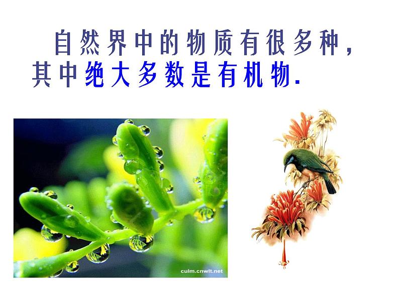 2020秋浙教版科学九上2.3《有机物和有机合成材料》（第1课时）ppt课件02
