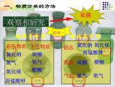 2020秋浙教版科学九上2.4《物质的分类》（第1课时）ppt课件