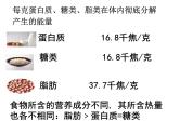 2020秋浙教版科学九上4.1《食物与营养》ppt课件（2）