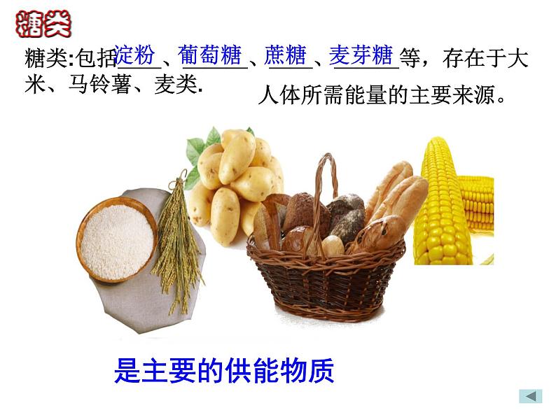 2020秋浙教版科学九上4.1《食物与营养》ppt课件（2）07
