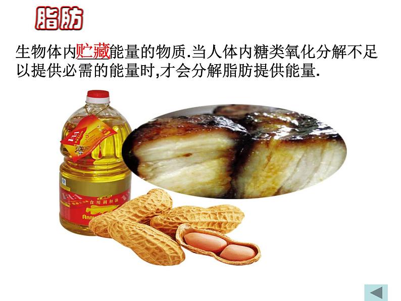 2020秋浙教版科学九上4.1《食物与营养》ppt课件（2）08