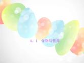 2020秋浙教版科學(xué)九上4.1《食物與營養(yǎng)》ppt課件（3）