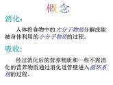 2020秋浙教版科学九上4.2《食物的消化与吸收》ppt课件（2）