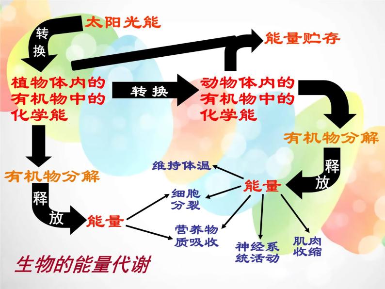 2020秋浙教版科学九上4.5《体内物质的动态平衡》（第2课时）ppt课件06