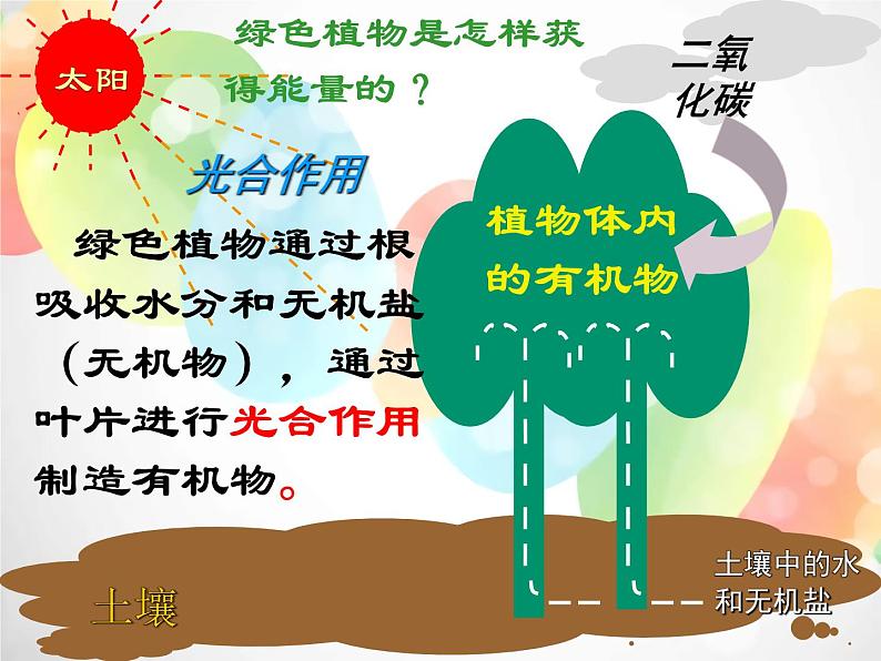 2020秋浙教版科学九上4.5《体内物质的动态平衡》（第3课时）ppt课件04