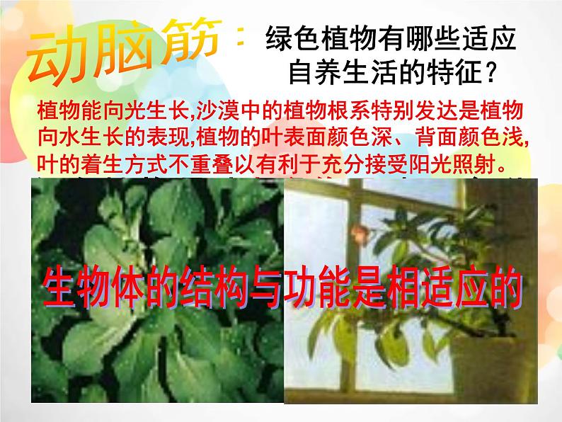 2020秋浙教版科学九上4.5《体内物质的动态平衡》（第3课时）ppt课件05