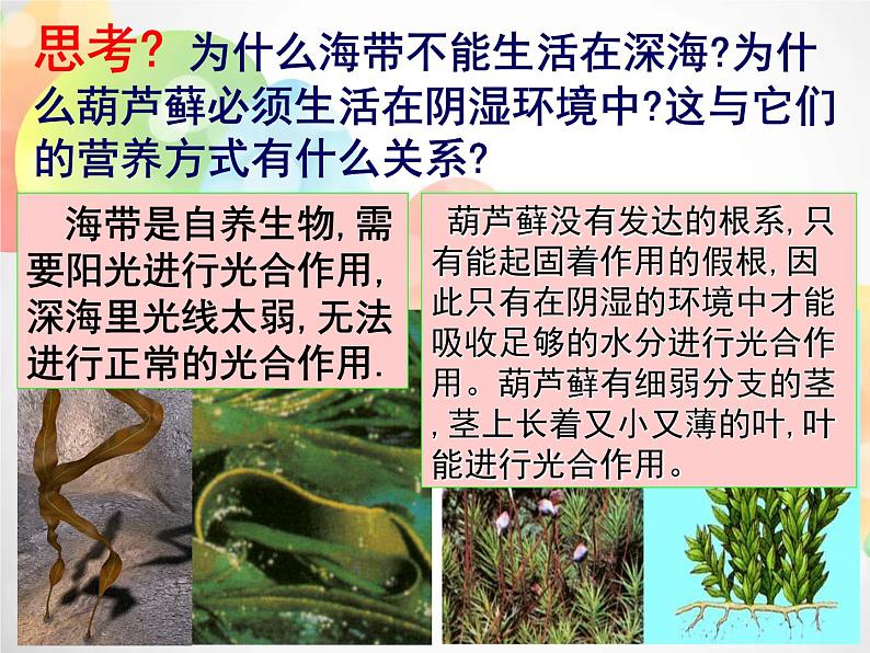 2020秋浙教版科学九上4.5《体内物质的动态平衡》（第3课时）ppt课件06