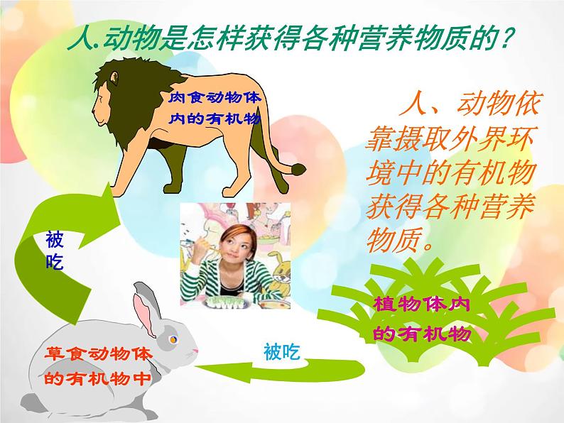 2020秋浙教版科学九上4.5《体内物质的动态平衡》（第3课时）ppt课件07