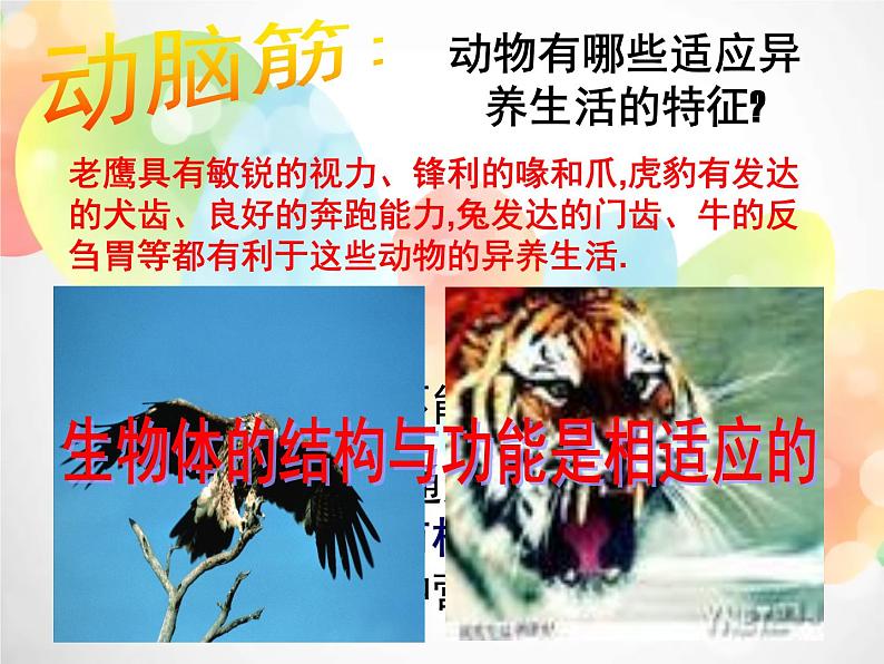 2020秋浙教版科学九上4.5《体内物质的动态平衡》（第3课时）ppt课件08