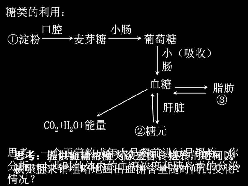 2020秋浙教版科学九上4.5《体内物质的动态平衡》ppt课件（1）02