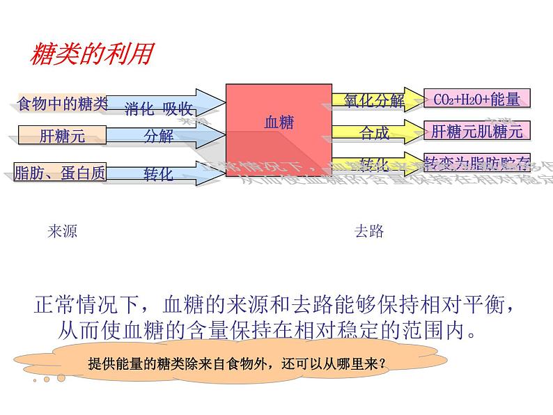 2020秋浙教版科学九上4.5《体内物质的动态平衡》ppt课件（1）03