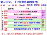 2020秋浙教版科学九上4.5《体内物质的动态平衡》ppt课件（2）