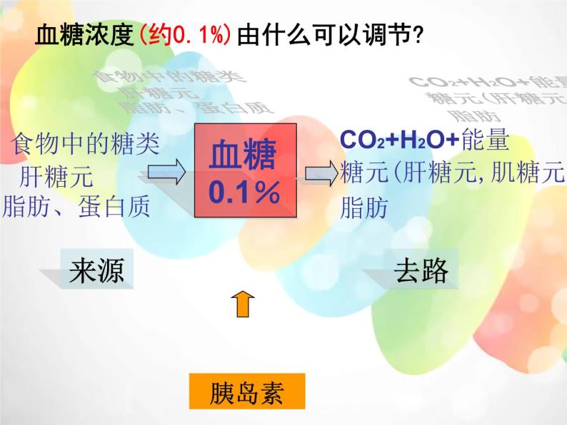 2020秋浙教版科学九上4.5《体内物质的动态平衡》ppt课件（2）07