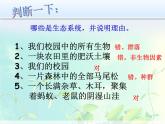 华师大版七年级下册科学 5.2生态系统 课件