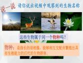 华师大版七年级下册科学 5.1种群和群落 课件