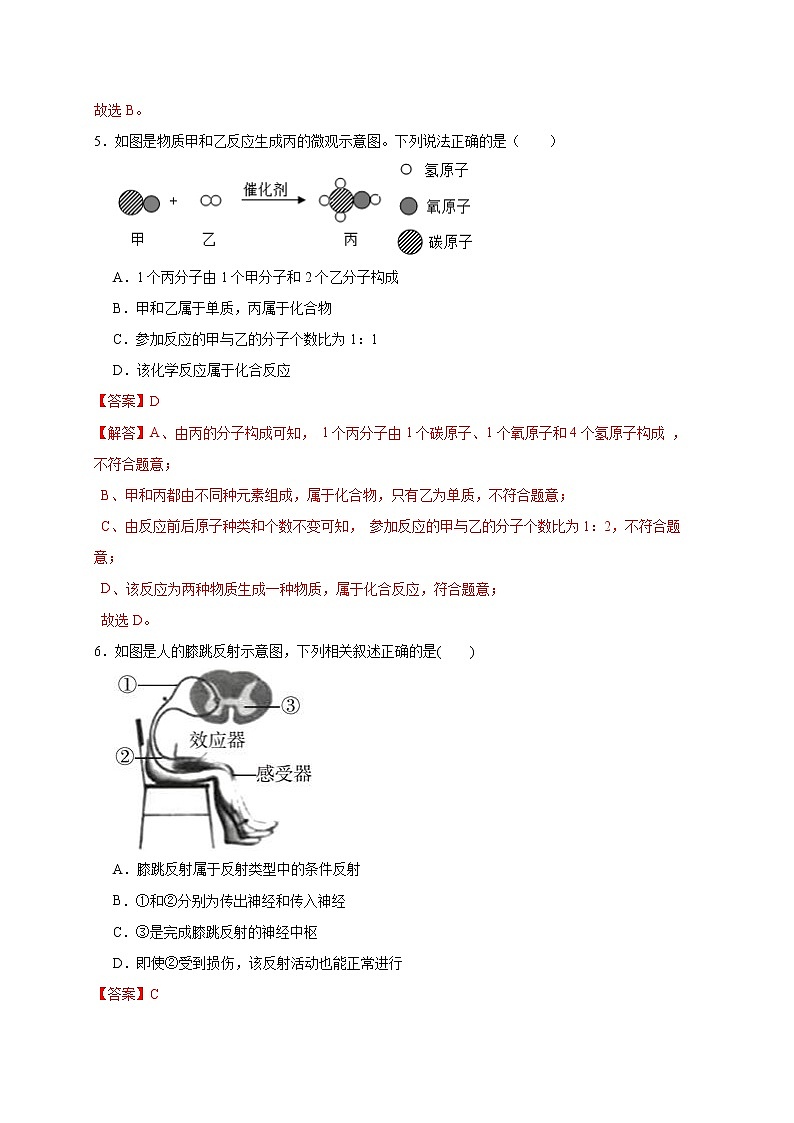 2022年浙江省中考科学模拟卷（温州专用）（六）（解析版）第3页