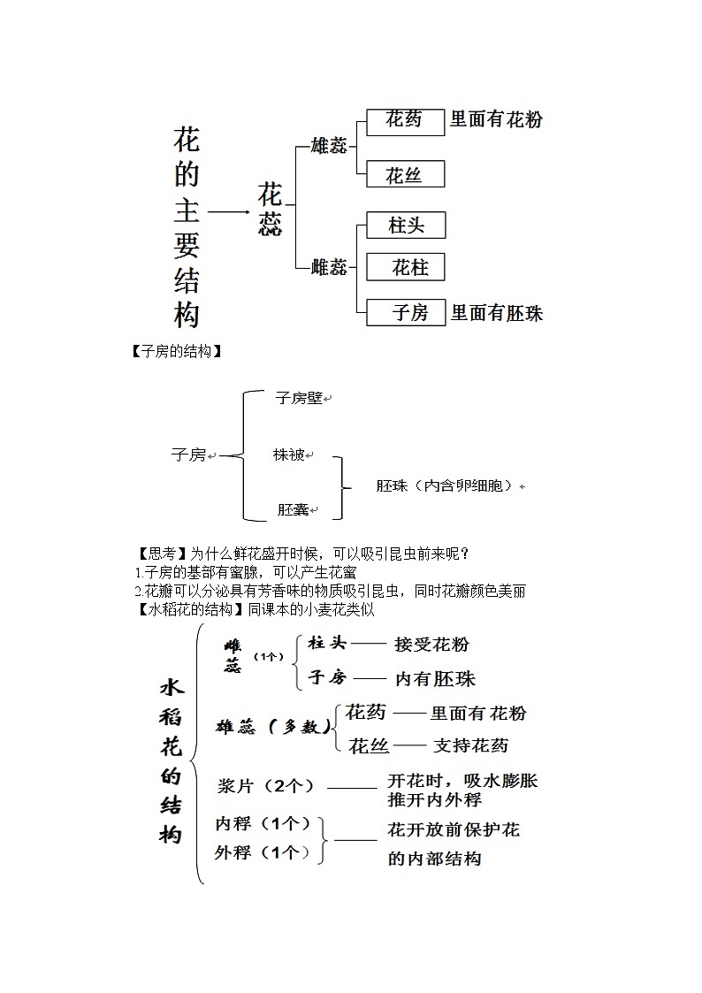 华师大版七年级下册科学 7.1绿色开花植物的有性生殖和发育 教案第2页