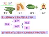 浙教版七年级下册科学 1.5植物生殖方式的多样性 课件