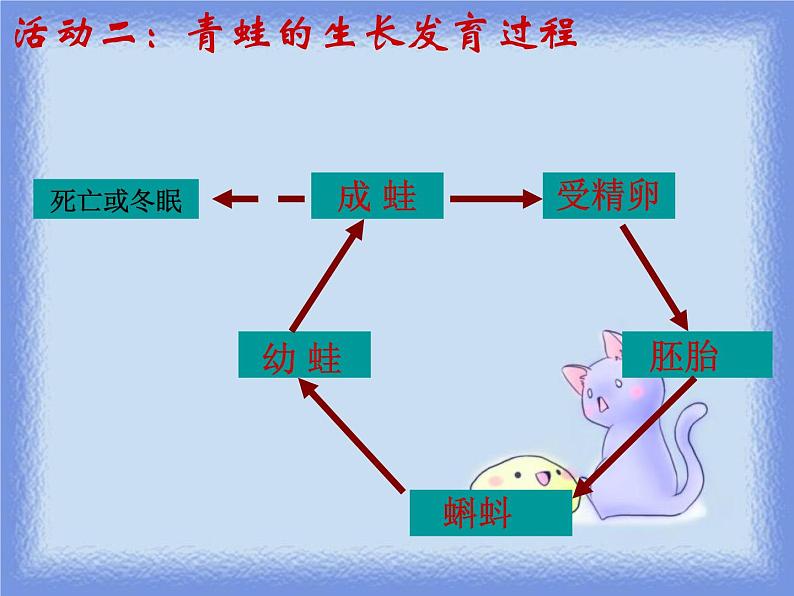 浙教版七年级下册科学 1.3动物的生长时期 课件05